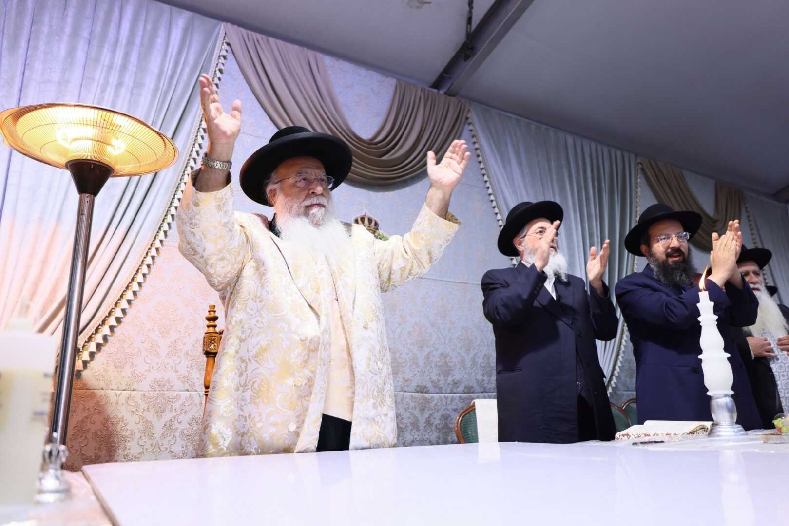 גלריית מירון 29